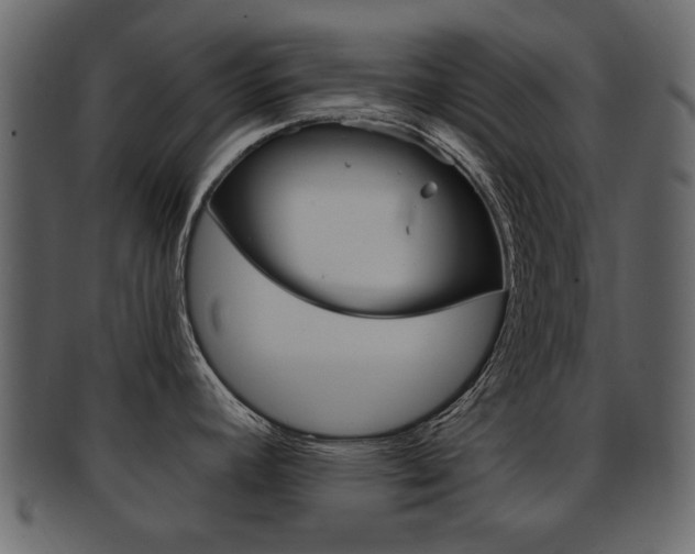 X0000093211392200709261417