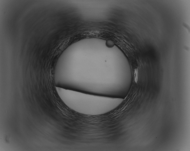 X0000093211395200709261416