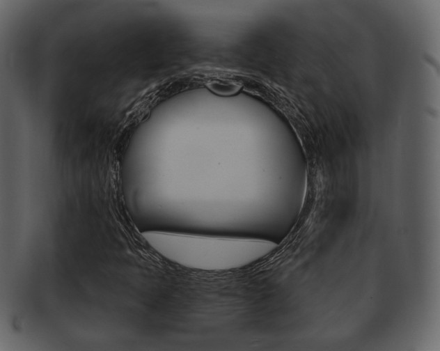 X0000093211397200709261416