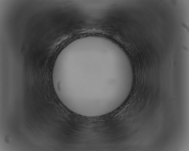X0000093211398200709261416