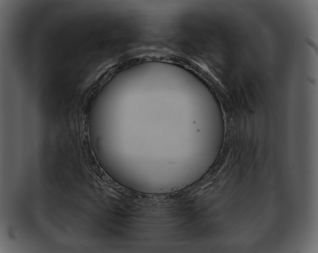X0000093211399200709261416