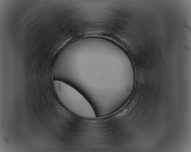 X0000093211401200709261416