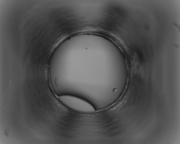 X0000093211409200709261416