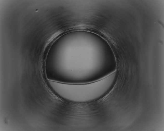 X0000093211410200709261416