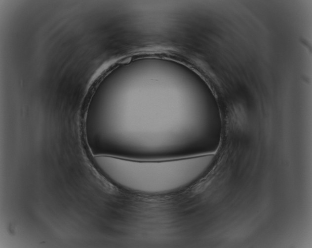 X0000093211412200709261416