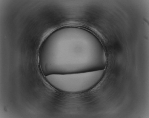 X0000093211413200709261416