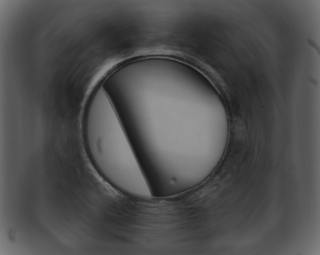 X0000093211416200709261416