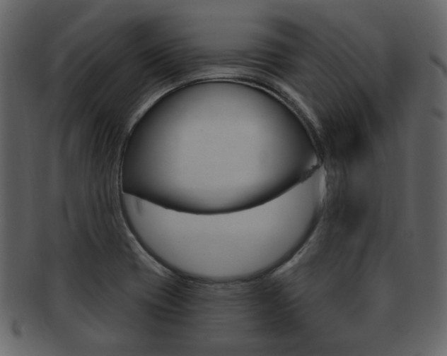 X0000093211417200709261416