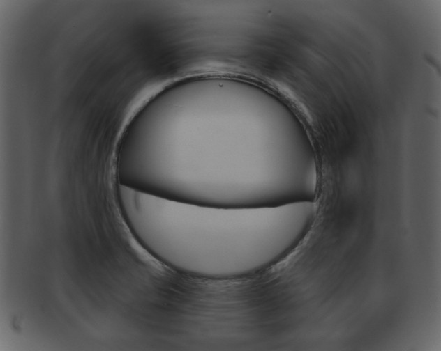 X0000093211421200709261417
