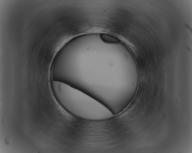 X0000093211423200709261417