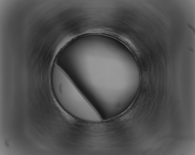 X0000093211424200709261417