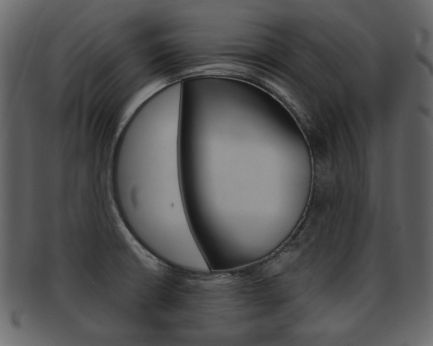 X0000093211426200709261417