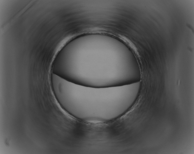 X0000093211429200709261417