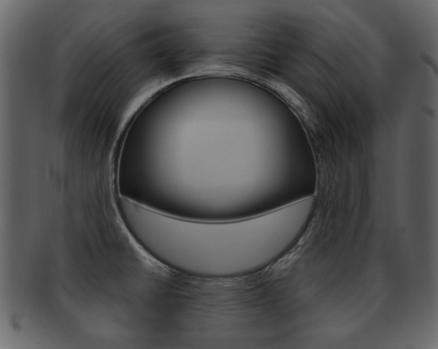 X0000093211430200709261417