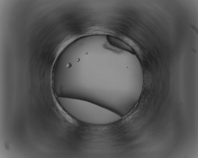X0000093211431200709261417