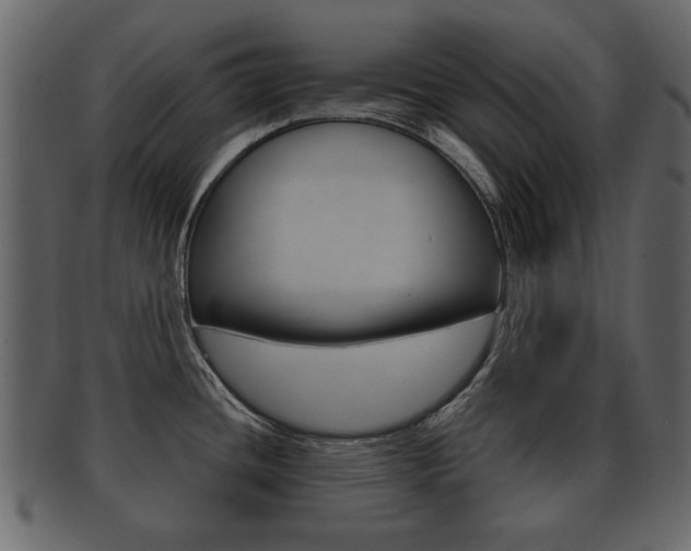 X0000093211436200709261417