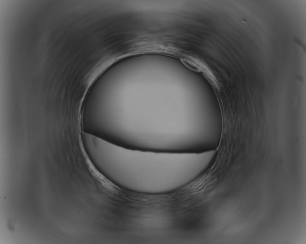 X0000093211439200709261417