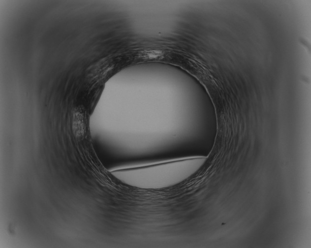 X0000093211442200709261416