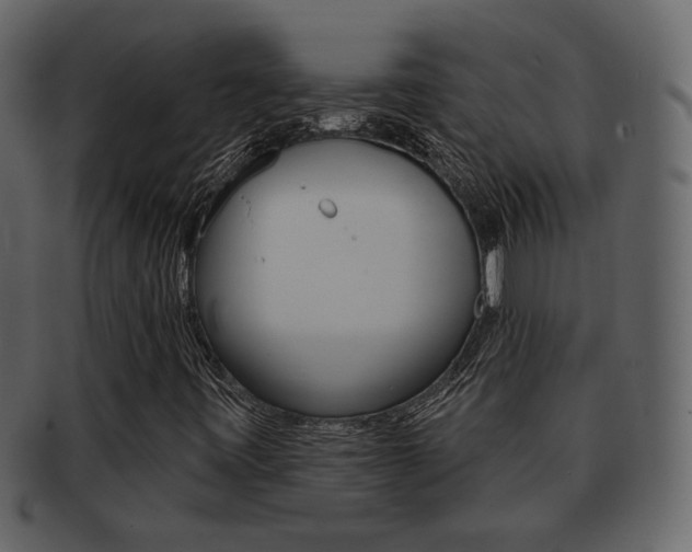 X0000093211443200709261416