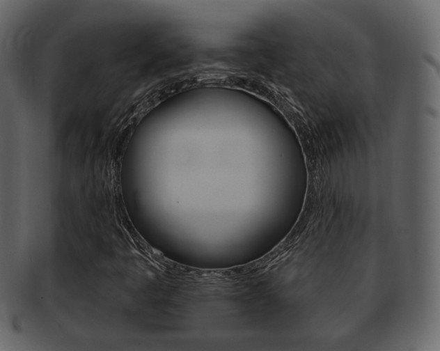 X0000093211445200709261416