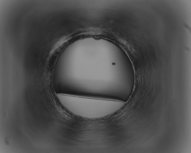 X0000093211448200709261416