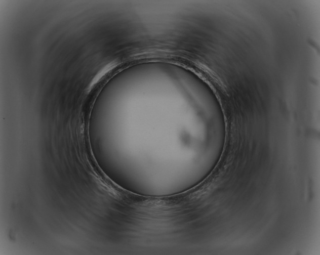 X0000093211450200709261416