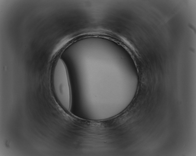 X0000093211456200709261416