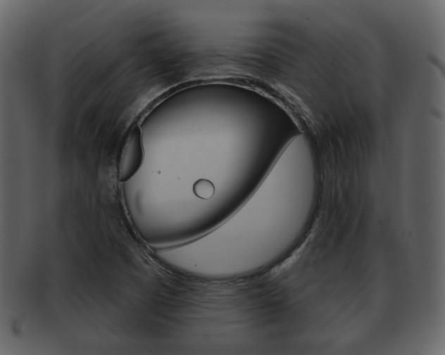 X0000093211457200709261416