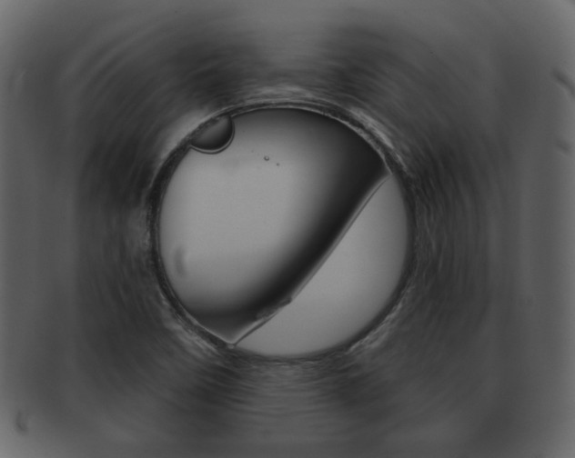 X0000093211458200709261416
