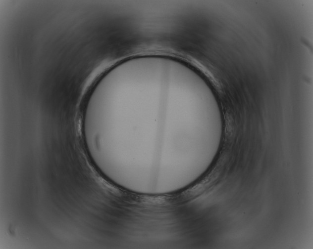 X0000093211462200709261416