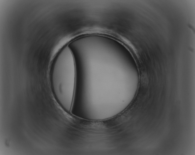 X0000093211464200709261416