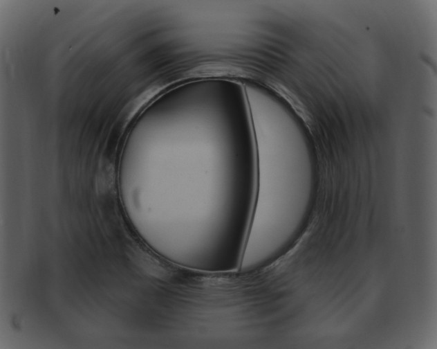 X0000093211465200709261416