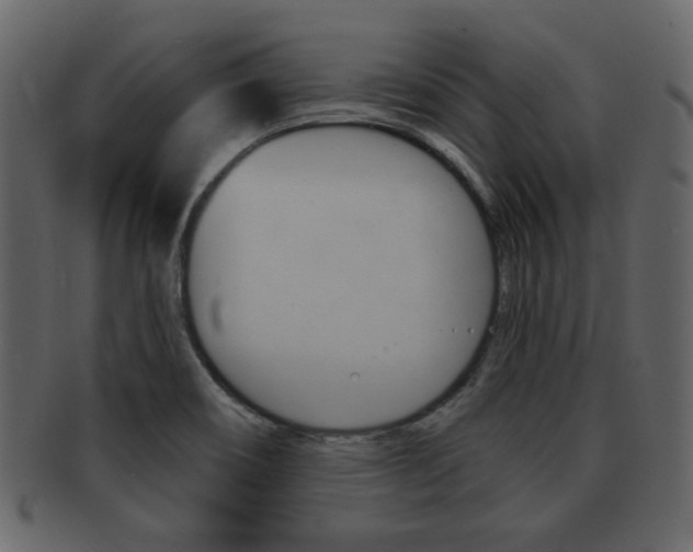 X0000093211466200709261416
