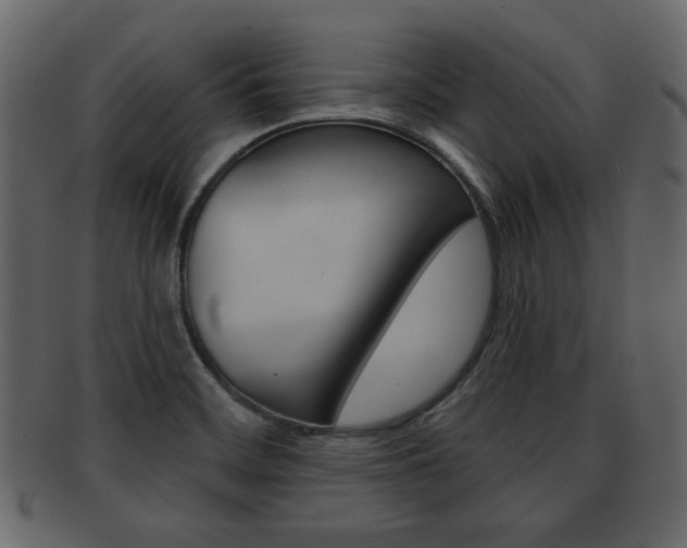 X0000093211468200709261416