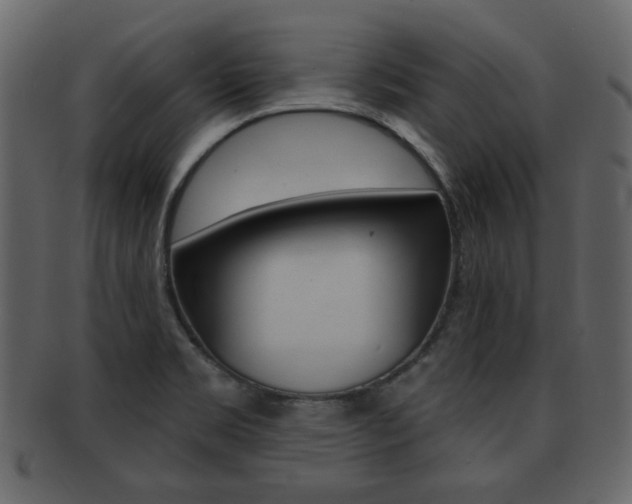 X0000093211469200709261416