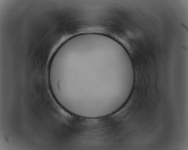 X0000093211470200709261416