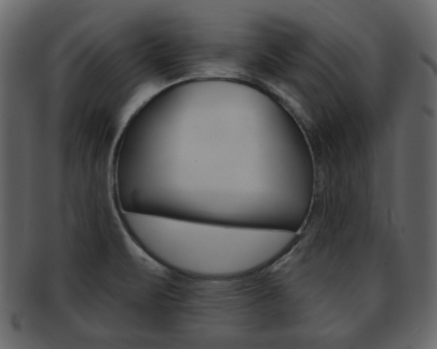 X0000093211471200709261416