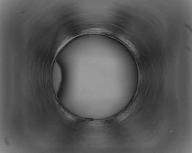 X0000093211473200709261416