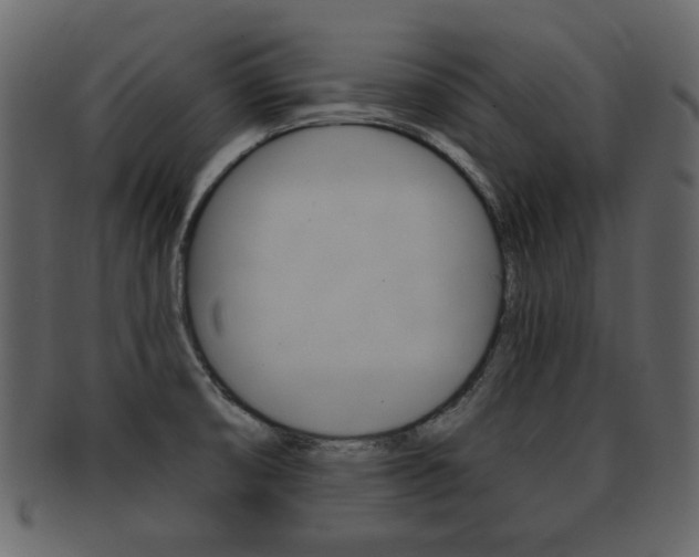 X0000093211474200709261416