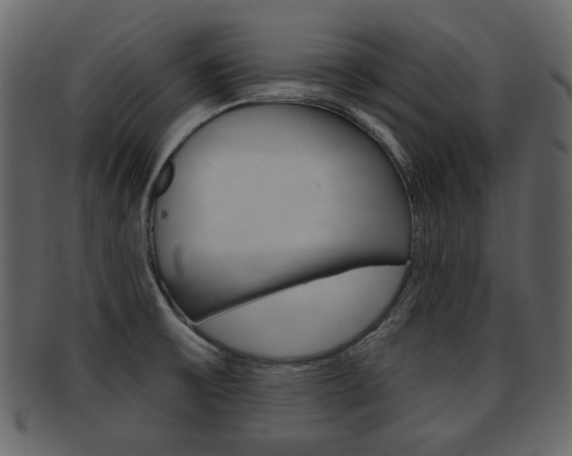 X0000093211475200709261416