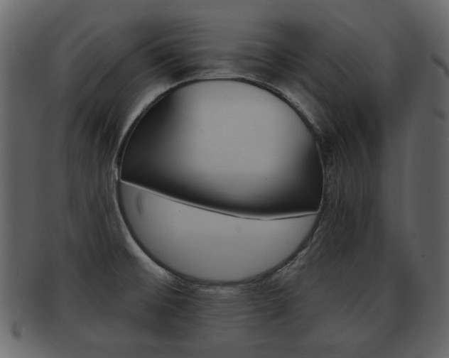 X0000093211476200709261416
