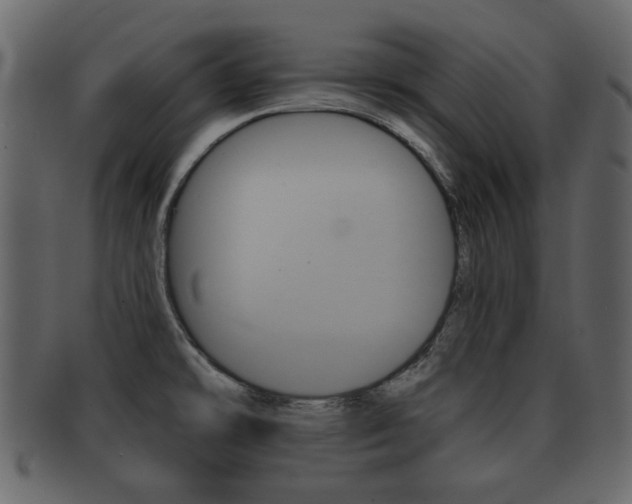 X0000093211478200709261416