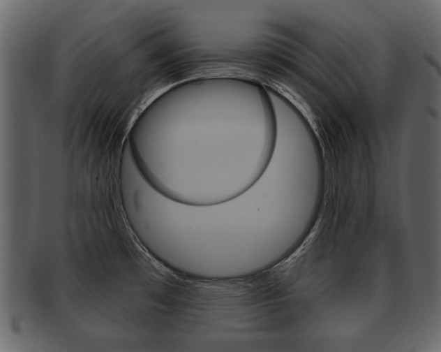X0000093211481200709261416