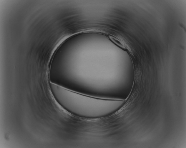 X0000093211484200709261416