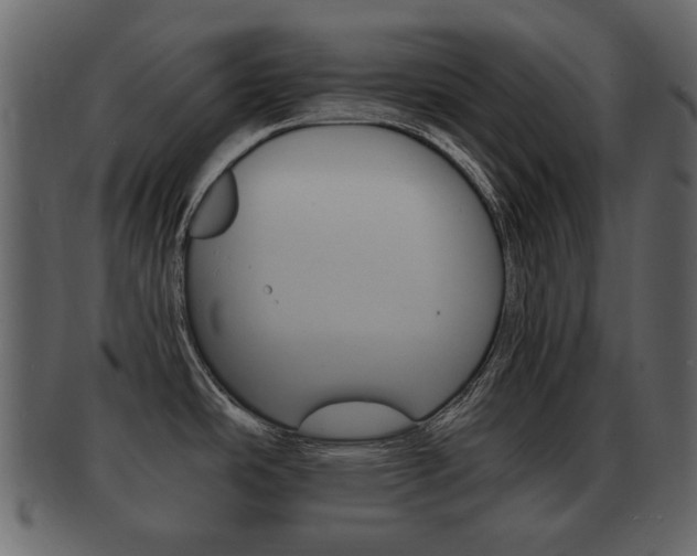 X0000093211486200709261416