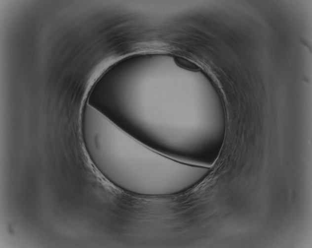 X0000093211488200709261416