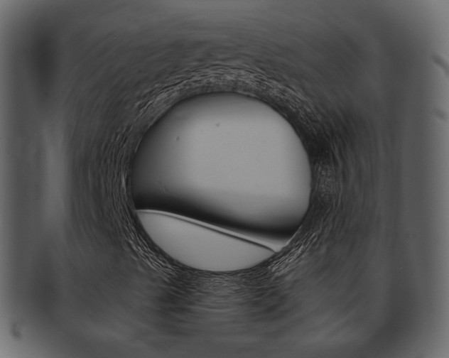 X0000093211489200709261415