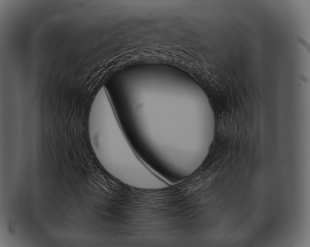 X0000093211490200709261415