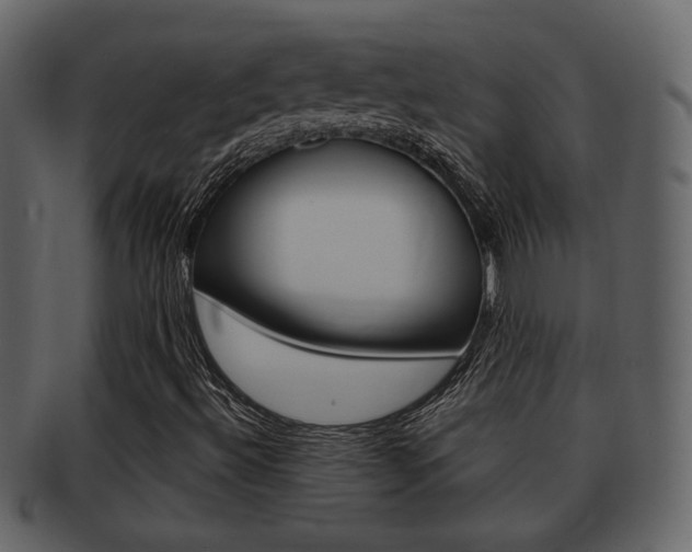 X0000093211492200709261415