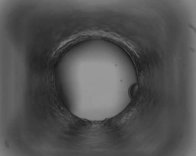 X0000093211494200709261415
